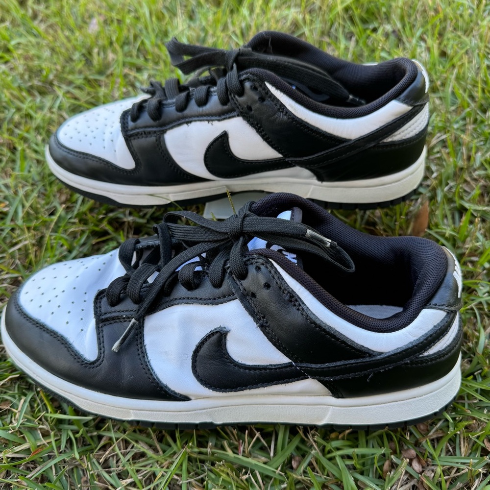 Nike Dunk Low Retro
Men's Shoes size 8